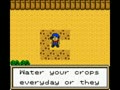 Harvest Moon 2 GBC (Euro) - Screen 4