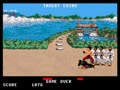 Ninja Mission (Arcadia, set 1, V 2.5) - Screen 2