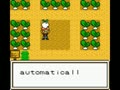 Harvest Moon 3 GBC (USA) - Screen 5