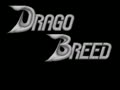 Dragon Breed (M81 PCB version) - Screen 3