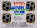 Tecmo World Cup (USA) - Screen 4