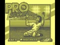 Pro Soccer (Jpn)