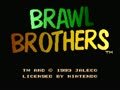 Brawl Brothers (USA)