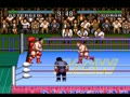 Natsume Championship Wrestling (USA) - Screen 3