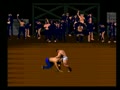 Pit-Fighter (USA) - Screen 5