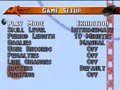 NHL '96 (USA) - Screen 5