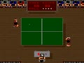 Ping Pong Masters '93 - Screen 3