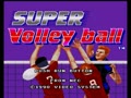 Super Volleyball (USA) - Screen 5