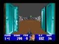 Wolfenstein 3D (Euro) - Screen 5