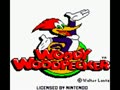 Woody Woodpecker (USA) - Screen 1