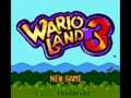 Wario Land 3 (World) - Screen 2