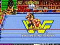 WWF WrestleFest (US Tecmo) - Screen 5