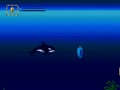 Ecco Jr. (USA, Oceania, 199503) - Screen 5