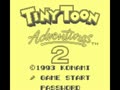 Tiny Toon Adventures 2 (Jpn)