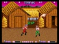 Double Dragon II - The Revenge (US)