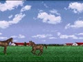 Winning Post 2 - Program '96 (Jpn, Rev. A) - Screen 4