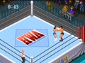 Super Fire Pro Wrestling 2 (Jpn)