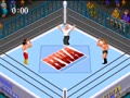 Super Fire Pro Wrestling 2 (Jpn) - Screen 5