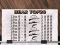 Trophy Hunting - Bear & Moose V1.0