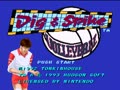 Dig & Spike Volleyball (USA) - Screen 2