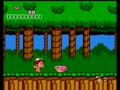 New Adventure Island (USA) - Screen 2