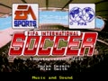 FIFA International Soccer (Euro, USA) - Screen 3