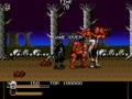 Mystical Fighter (USA) - Screen 2