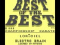 Best of the Best - Championship Karate (USA) - Screen 2