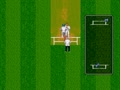 Brian Lara Cricket (Euro, 199503) - Screen 4