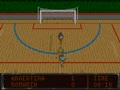 World Soccer 94 - Road to Glory (USA) - Screen 4