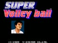 Super Volleyball (Korea) - Screen 1