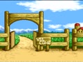 Harvest Moon (Euro) - Screen 2