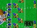 Football Frenzy (NGM-034)(NGH-034) - Screen 2