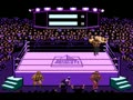 Title Match Pro Wrestling (PAL) - Screen 2