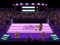 Title Match Pro Wrestling (PAL) - Screen 3
