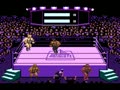 Title Match Pro Wrestling (PAL) - Screen 5