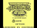 Teenage Mutant Ninja Turtles II - Back from the Sewers (USA) - Screen 4