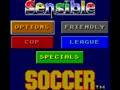 Sensible Soccer (Euro) - Screen 4