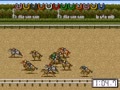 Thoroughbred Breeder III (Jpn) - Screen 5