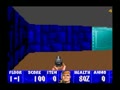 Wolfenstein 3D (USA, Prototype) - Screen 5