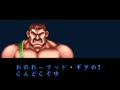 Final Fight 2 (Jpn)