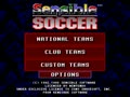 Sensible Soccer - European Champions (Euro) - Screen 2