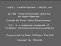 WCW Super Brawl Wrestling (USA) - Screen 1