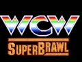 WCW Super Brawl Wrestling (USA) - Screen 4