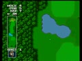 Power Golf (Japan) - Screen 5