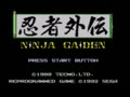 Ninja Gaiden (Euro, Prototype) - Screen 4