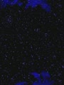 Nebulas Ray (World, NR2) - Screen 1