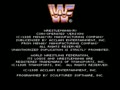 WWF WrestleMania - The Arcade Game (Jpn) - Screen 1