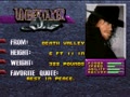 WWF WrestleMania - The Arcade Game (Jpn) - Screen 5