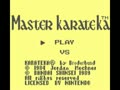 Master Karateka (Jpn)